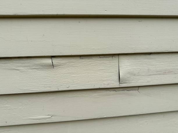 Best Fiber Cement Siding Installation  in Berea, OH